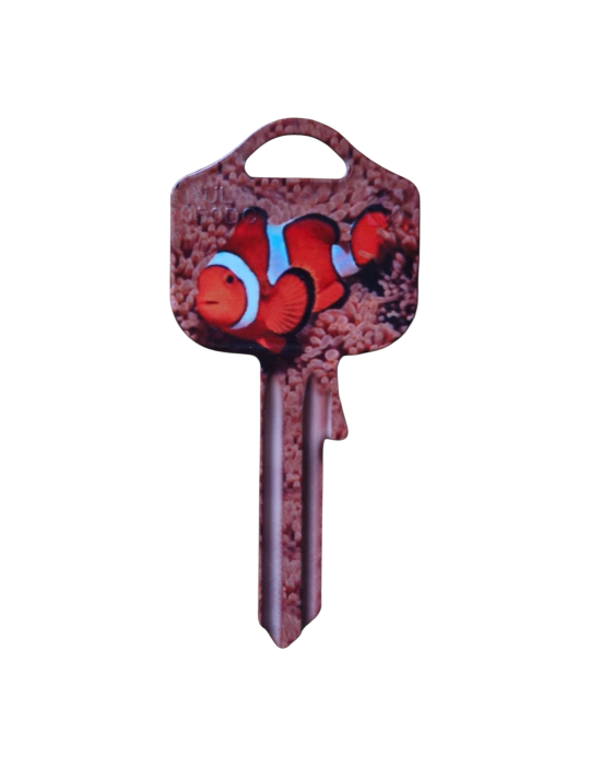 Schlüsselrohling Clownfisch – Unterwasserwelt Design