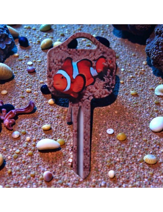 Schlüsselrohling Clownfisch – Unterwasserwelt Design