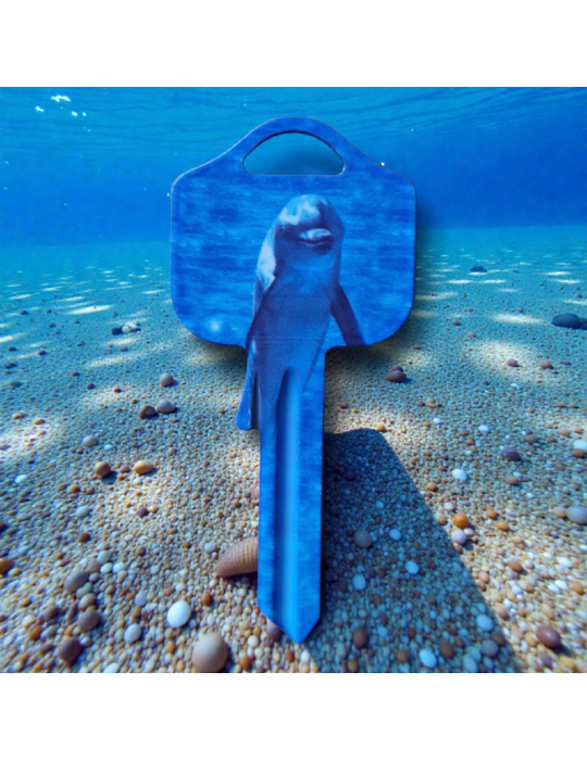 Schlüsselrohling Delfin – Ozeanwelt Design mit Tiermotiv