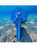 Schlüsselrohling Delfin – Ozeanwelt Design mit Tiermotiv