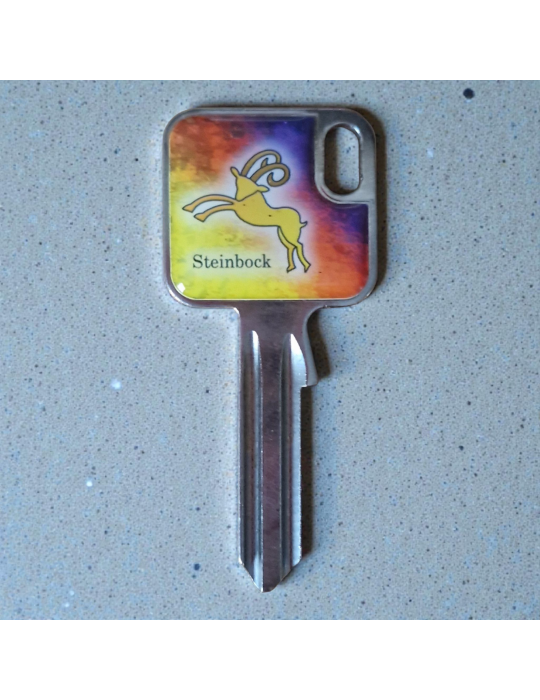 Schlüsselrohling Sternzeichen Steinbock – kraftvolles Design