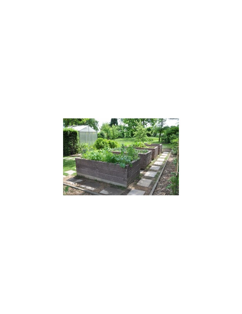 R-Form Hochbeet – Platzsparend & ergonomisch für kreative Gartenideen | Shopvola.de