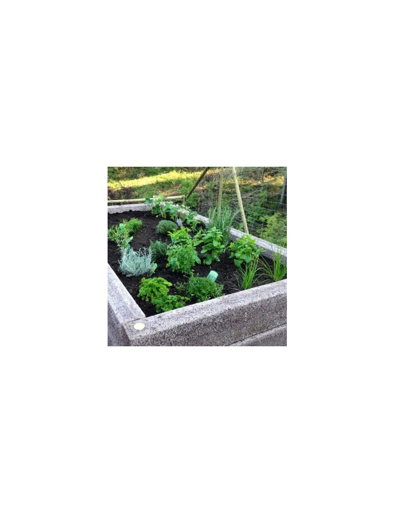 R-Form Hochbeet – Platzsparend & ergonomisch für kreative Gartenideen | Shopvola.de