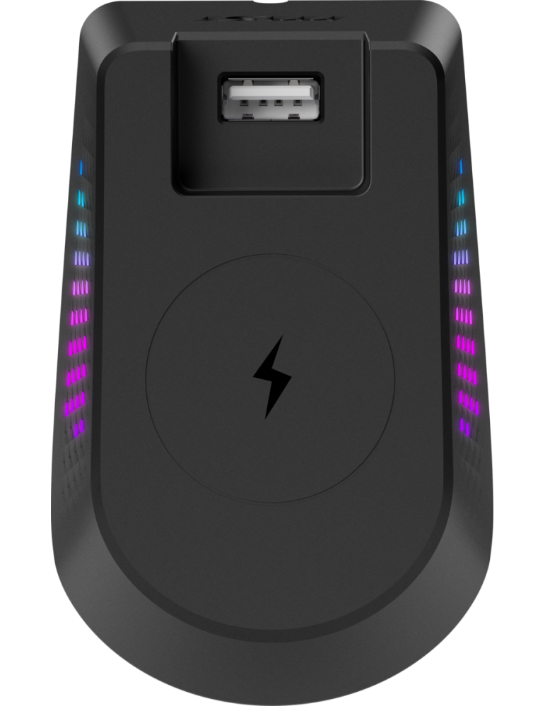 MSI Versa Pro Wireless + Maus Dock Pro