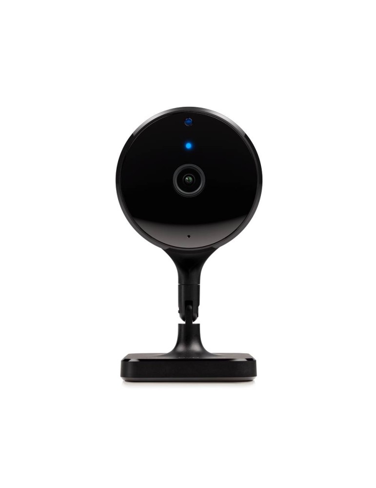 Eve Cam