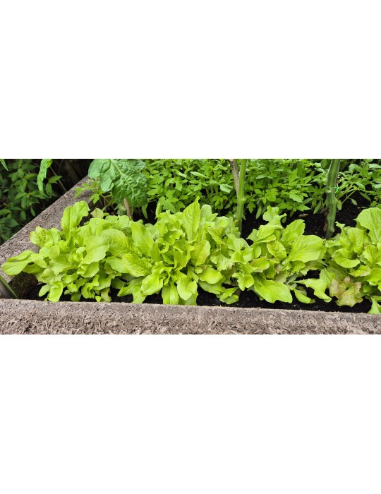 L-Form Hochbeet – Ergonomisch & Platzsparend für Garten & Terrasse | Shopvola.de