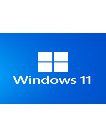 Microsoft Windows 11 Professional - 1Key 2